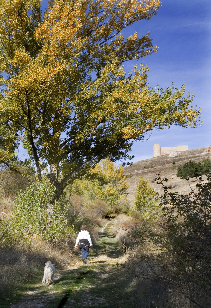 pueblo-calzada medieval_O9I8764