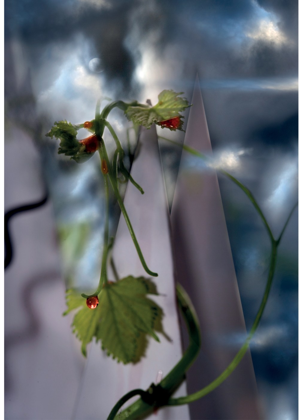 126-135 Luis De Pazos CORR4.jpg